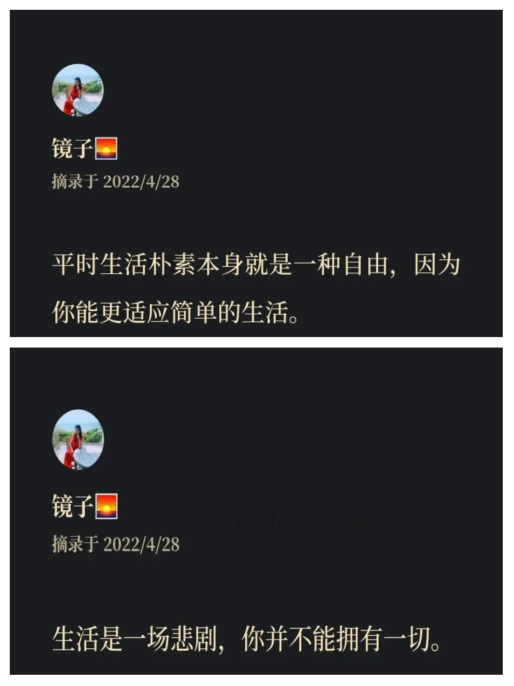 上海大鲨鱼深陷低谷，急需调整走出困境的简单介绍